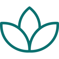 Icon 3